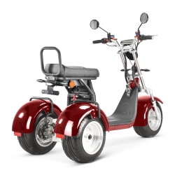 TRIRATIS citycoco CP-7 4000 W, 20AH juodas