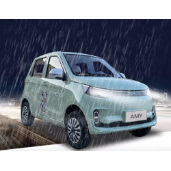 Elektrinis automobilis AMY/EEC 3500W  100Ah