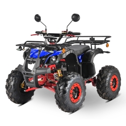 Elektrinis keturratis ATV (S) 4kW 60V 20AH