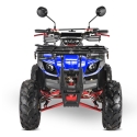 Elektrinis keturratis ATV (S) 4kW 20AH