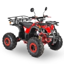 Elektrinis keturratis ATV (S) 4kW 20AH