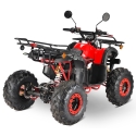 Elektrinis keturratis ATV (S) 4kW 20AH