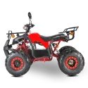 Elektrinis keturratis ATV (S) 4kW 20AH
