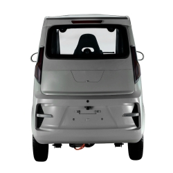 Elektrinis triratis mopedas motoroleris BN711 58ah 1kw