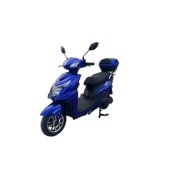 Elektrinis triratis Z1000 1000W 20Ah (Ličio akumuliatorius)