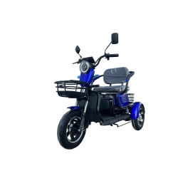 Elektrinis triratis M20 (ličio 20AH baterija)