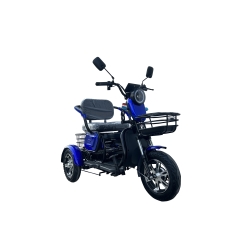 Elektrinis triratis M20 (ličio 20AH baterija)