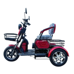 Elektrinis triratis M20 (ličio 20AH baterija)