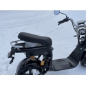 Citycoco X17 1500W