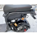 Citycoco X17 1500W