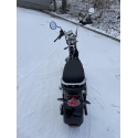 Citycoco X17 1500W