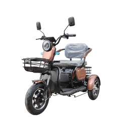 Elektrinis triratis M20  (ličio jonų 20AH baterija)