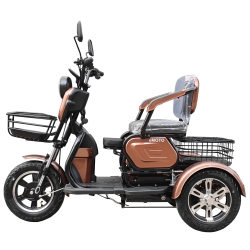 Elektrinis triratis M20  (ličio jonų 20AH baterija)