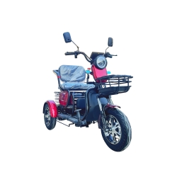 Elektrinis triratis M20  (ličio jonų 20AH baterija)