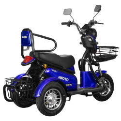 Elektrinis triratis J3/Lidia (ličio jonų 20AH baterija)