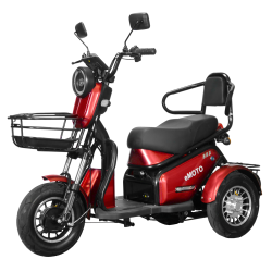 Elektrinis triratis J3/Lidia (ličio jonų 20AH baterija)