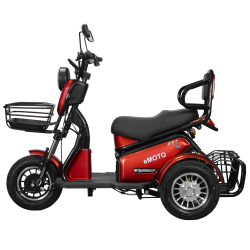 Elektrinis triratis J3/Lidia (ličio jonų 20AH baterija)