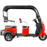 Elektrinis triratis mopedas motoroleris  MQ