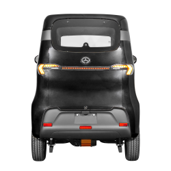 ELEKTRINIS MINI AUTOMOBILIS J4, 1000W 65AH AC