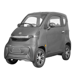 ELEKTRINIS MINI AUTOMOBILIS J4, 1000W 65AH AC