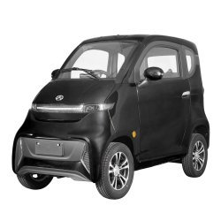 ELEKTRINIS MINI AUTOMOBILIS J4, 1000W 65AH AC