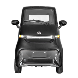 ELEKTRINIS MINI AUTOMOBILIS J4, 1000W 65AH AC