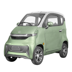 ELEKTRINIS MINI AUTOMOBILIS J4, 1000W 65AH AC