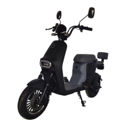 Elektrinė dviratė transporto priemonė M-12, 20 AH