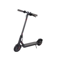 Elektrinis paspirtukas M1 350W