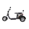 TRIRATIS citycoco CP-3 2000 W, 20AH